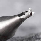 Fresa de topo com melhor preço de alta qualidade EW5530B-4F Carbide φ3.0xφ6x40x4F , Acessórios ,Fresa, Peças COMPRE AGORA | Chaves dos Emirados -| thumbnail