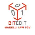 BitEdit Module Marelli IAW 7GV