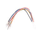 Dimsport K34NTA22-B Trasdata E-GPT Полный комплект - MK25359 - f-6 -| thumbnail