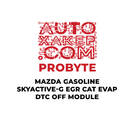 Modulo ProByte Mazda Benzina SkyActive-G EGR CAT EVAP DTC OFF