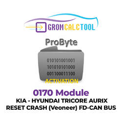 GromCalcTool 0170 Modulo KIA - HYUNDAI TRICORE AURIX RESET CRASH (Veoneer) FD-CAN BUS