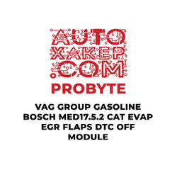 ProByte VAG Group Gasoline Bosch MED17.5.2 CAT EVAP EGR FLAPS DTC OFF Module