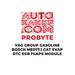 ProByte VAG Group Gasoline Bosch MED17.1 CAT EVAP DTC EGR FLAPS Module