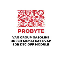 ProByte VAG Group Gasoline Bosch ME7.1.1 CAT EVAP EGR DTC OFF Module