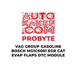 ProByte VAG Group Gasoline Bosch MG1CS001 EGR CAT EVAP FLAPS DTC Module