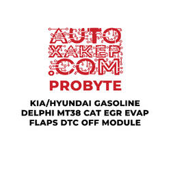 ProByte KIA / Hyundai Gasoline Delphi MT38 CAT EGR EVAP FLAPS DTC OFF Module