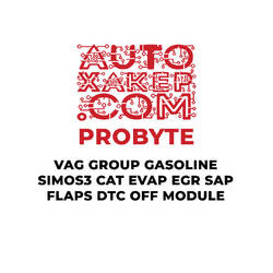 ProByte Vag Group Gasoline SIMOS3 CAT EVAP EGR SAP FLAPS DTC OFF Module