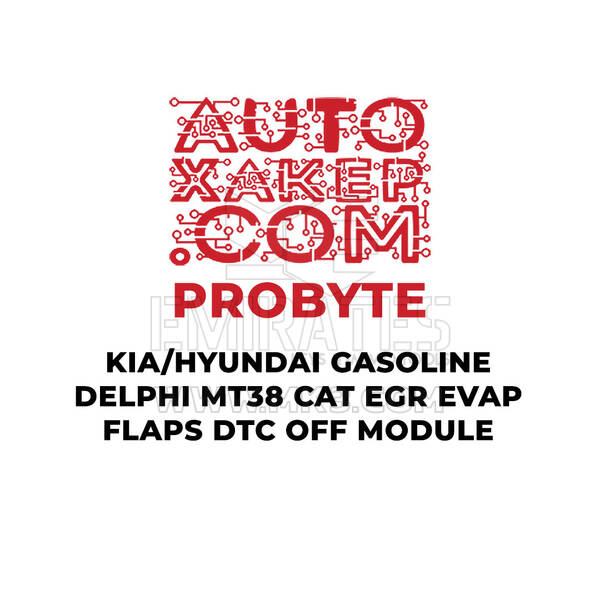 ProByte KIA / Hyundai Gasoline Delphi MT38 CAT EGR EVAP FLAPS DTC OFF Module
