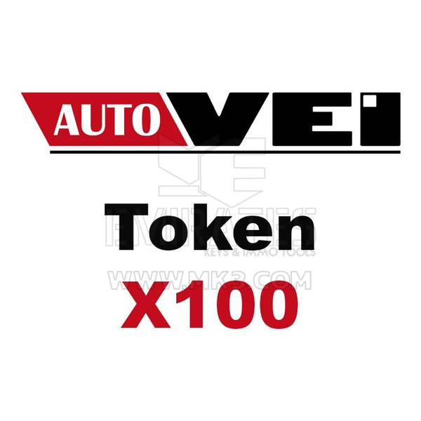 Addebito di 100 token AutoVEI Truck Explorer